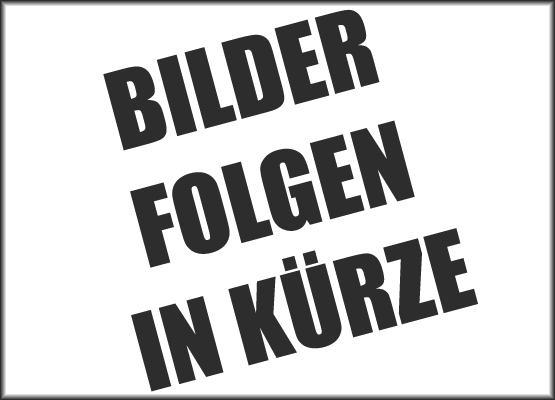 300 kg Rüttelplatte mieten - Husqvarna LG 300